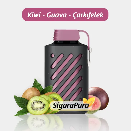 Vozol 10000 Kiwi Guava Passion Fruit satın al