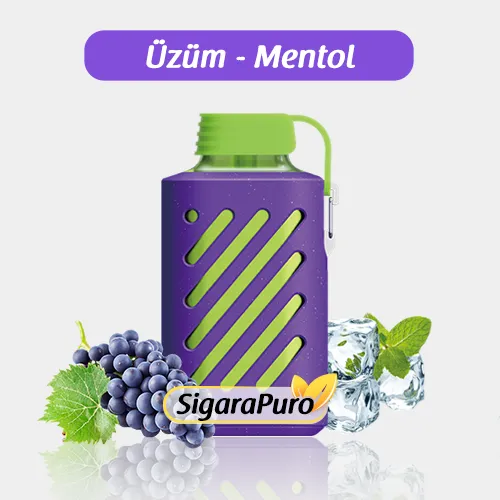 Vozol 10000 Grape ice satın al