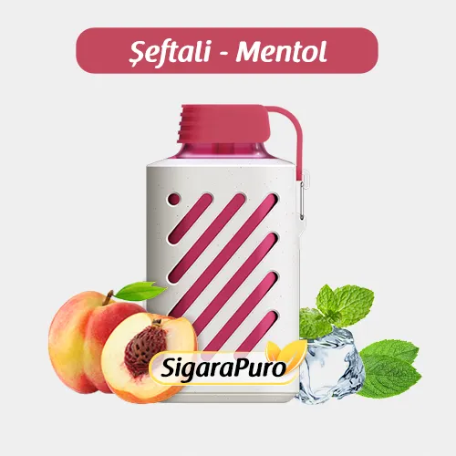 Vozol 10000 Peach ice satın al