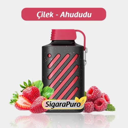 Vozol 10000 Strawberry Raspberry satın al