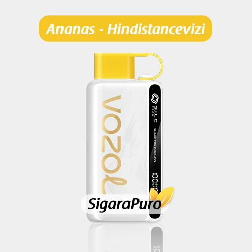 Vozol 12000 Pineapple Coconut ice satın al